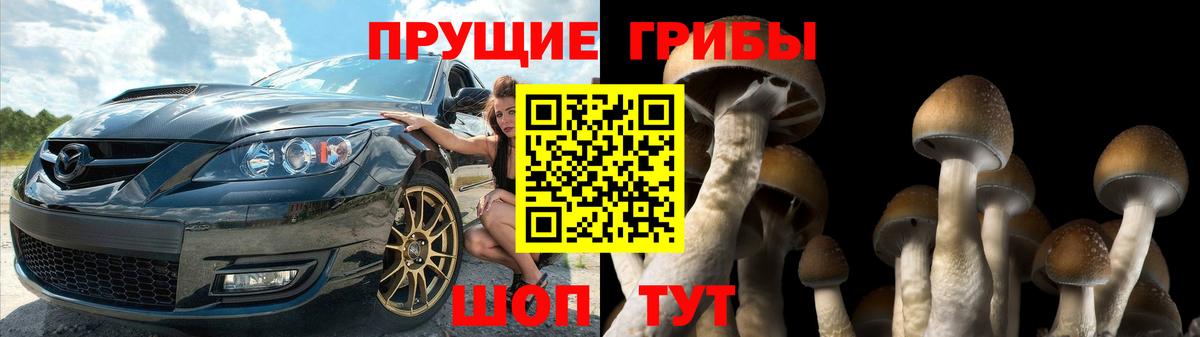 наркошоп  Псилоцибиновые грибы ЛСД  Псилоцибиновые грибы Psilocybe  Вход с VPN  Дмитров 